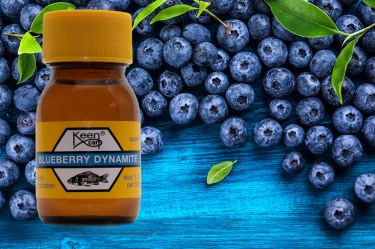 Blueberry Dynamite