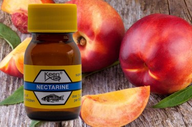 Nectarine